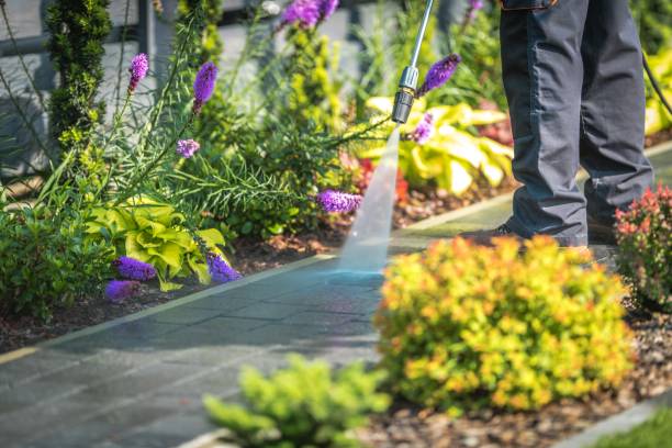Best Spring Cleaning  in Toledo, OR